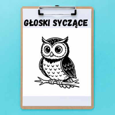 Głoski syczące S, Z, C, DZ - czarno-białe