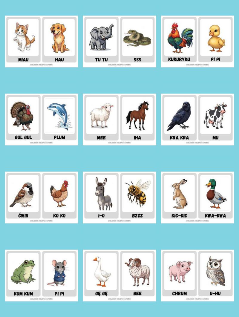 Karty wyrazowe Onomatopeje mozaika