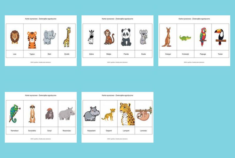 Karty wyrazowe Zwierzatka egzotyczne 9 7 2025 mozaika