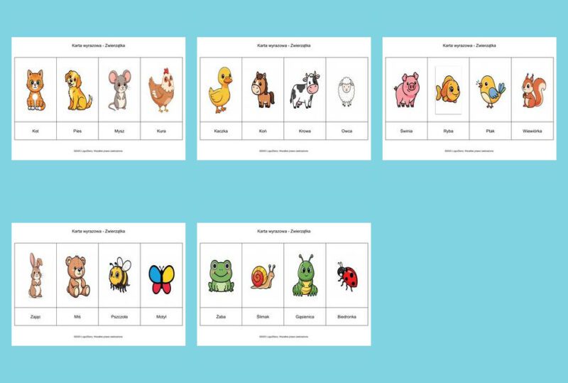 Karty wyrazowe Zwierzatka 9 7 2025 mozaika